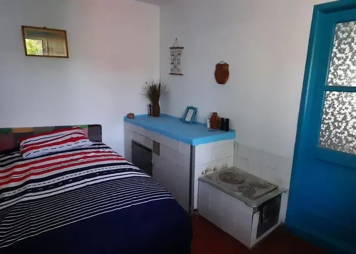 Vakantiehuis Traditional House In Danube Delta *